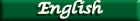 Go to the english site