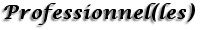 Professionnel(les)